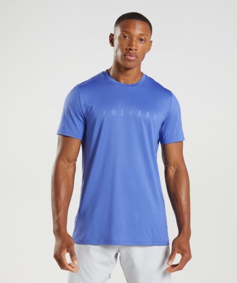 Men's Gymshark Sport Stripe T-Shirts Blue | CA D15387